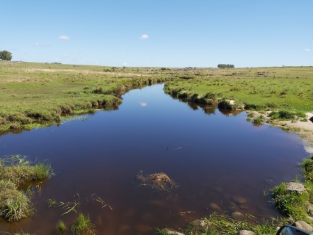 Campo / Chacra en Venta en Feliciano, Durazno