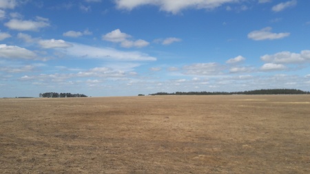 Campo / Chacra en Venta en Fray Marcos, Florida