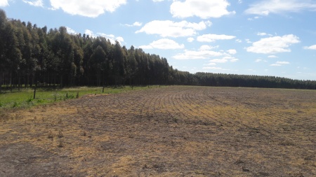 Campos y Chacras en Venta en Rolón, Río Negro