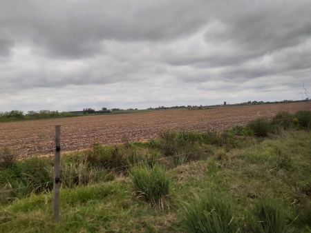 Campos y Chacras en Venta en San Ramón, Canelones