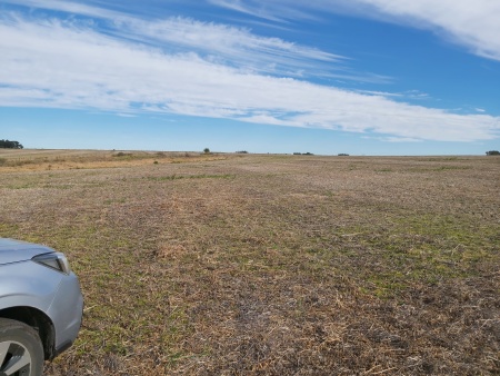 Campo / Chacra en Venta en Ombúes de la Valle, Colonia