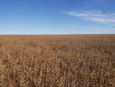 Campo / Chacra en Venta en Fray Bentos, Río Negro