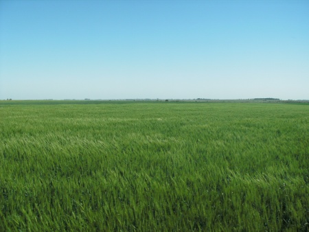 Campo / Chacra en Venta en Fray Bentos, Río Negro