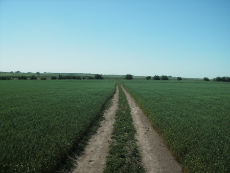 Campo / Chacra en Venta en Young, Río Negro