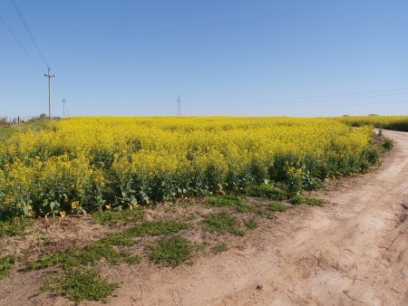 Campo / Chacra en Venta en San Gregorio, San José