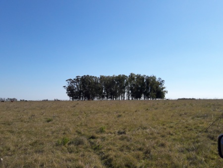 Campo / Chacra en Venta en Baltasar Brum, Artigas