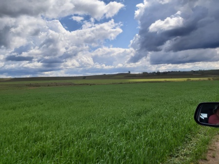 Campos y Chacras en Venta en Biassini, Salto