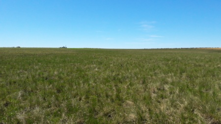 Campo / Chacra en Venta en Treinta y Tres, Treinta y Tres