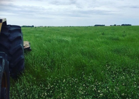 Campo / Chacra en Venta en Florencio Sánchez, Colonia