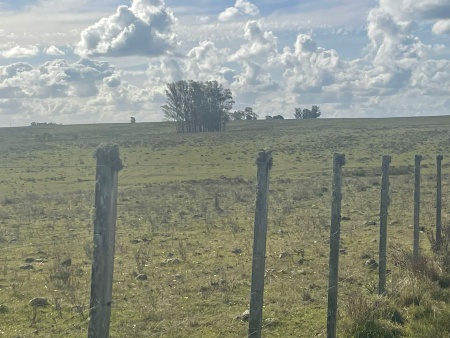 Campo / Chacra en Venta en Vejiga, Lavalleja