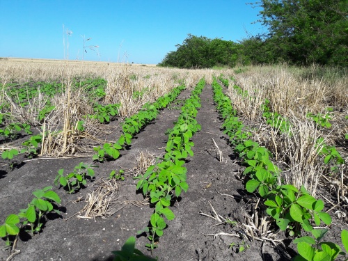 Campo / Chacra en Venta en Las Flores, Río Negro