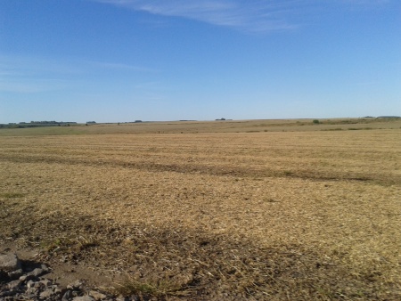 Campos y Chacras en Venta en Fray Bentos, Río Negro