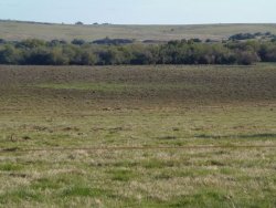 Campo / Chacra en Venta en Florencio Zánchez, Colonia del Sacramento, Colonia