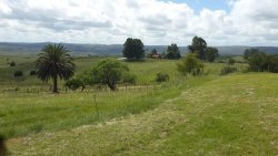 Campos y Chacras en Venta en Tupambaé, Treinta y Tres, Treinta y Tres