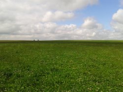 Campo / Chacra en Venta en Carreta Quemada, San José de Mayo, San José