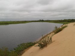 Campos y Chacras en Venta en Tacuarembó