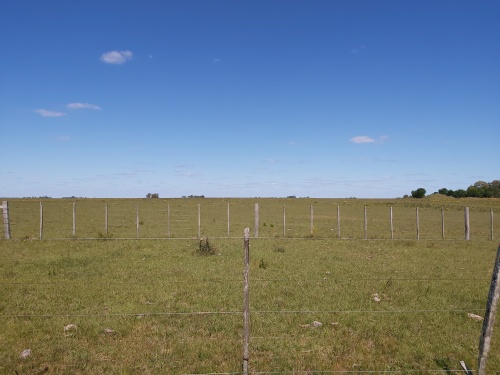 Campo / Chacra en Venta en Andresito, Trinidad, Flores