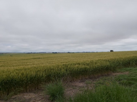 Campo / Chacra en Venta en Colonia del Sacramento, Colonia