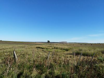 Campo / Chacra en Venta en Polanco del Yí, Florida