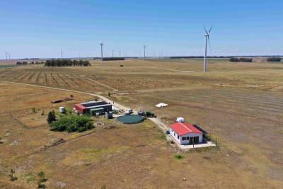 Campo / Chacra en Venta en Chamanga, Flores