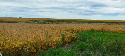 Campo / Chacra en Venta en Juan José Castro, Flores
