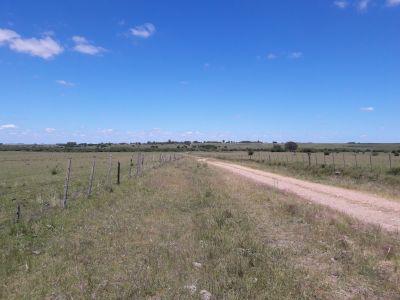 Campos y Chacras en Venta en Carmen, Durazno