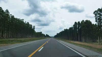 Campos y Chacras en Venta en Santa Clara de Olimar, Treinta y Tres