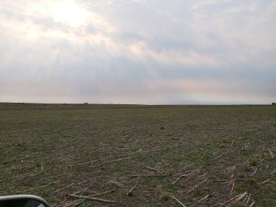 Campos y Chacras en Venta en Ombúes de Lavalle, Colonia