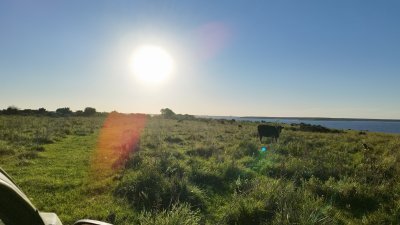 Campo en Venta en El Tala, Mercedes, Soriano