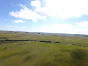 Campo / Chacra en Venta en Feliciano, Durazno , Durazno