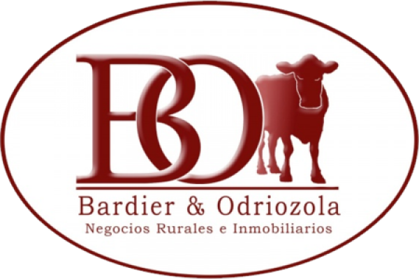 BARDIER & ODRIOZOLA SRL