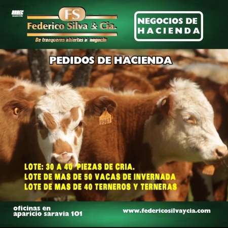 Pedido de Hacienda