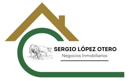 SERVICIOS INMOBILIARIOS Sergio López Otero