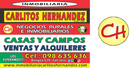 Inmobiliaria y Escritorio Carlitos Hernández