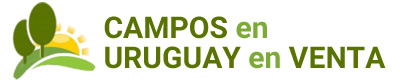 Campos en Uruguay en Venta
